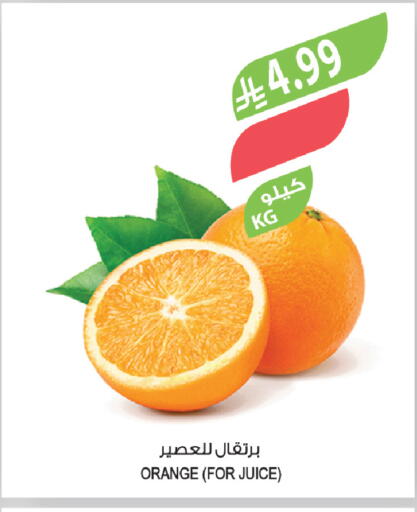 Orange available at المزرعة in مملكة العربية السعودية, السعودية, سعودية - الخرج