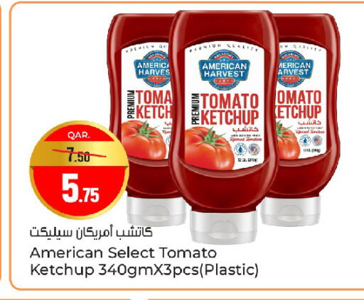Tomato available at باريس هايبرماركت in قطر - الشحانية