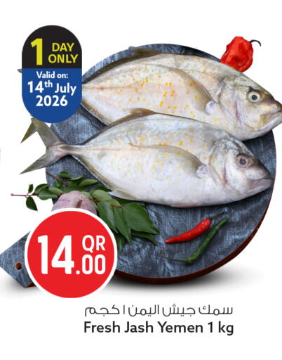 available at سفاري هايبر ماركت in قطر - الخور
