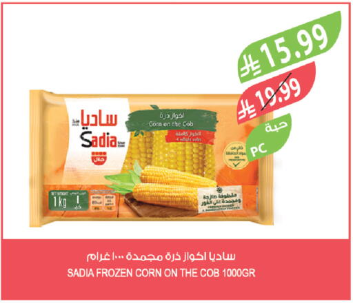 available at المزرعة in مملكة العربية السعودية, السعودية, سعودية - تبوك