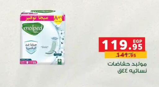 available at Panda  in Egypt - Cairo