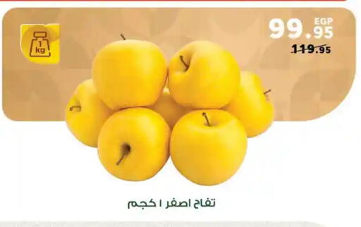 available at Panda  in Egypt - Cairo