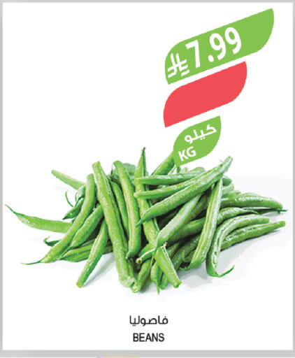 available at Farm  in KSA, Saudi Arabia, Saudi - Tabuk