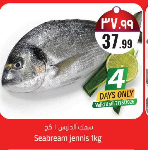 available at ستي فلاور in مملكة العربية السعودية, السعودية, سعودية - سكاكا