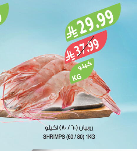 available at المزرعة in مملكة العربية السعودية, السعودية, سعودية - الخرج