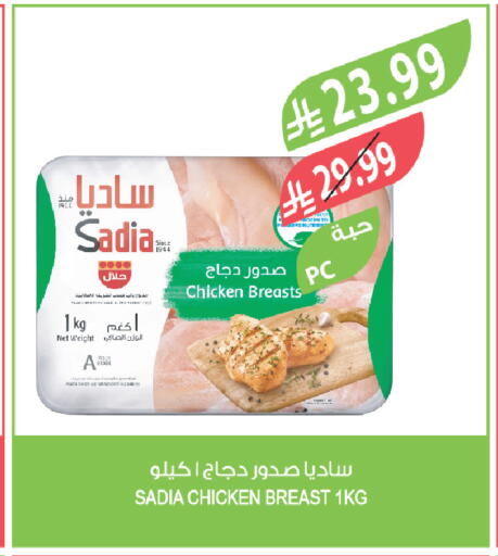 available at المزرعة in مملكة العربية السعودية, السعودية, سعودية - تبوك
