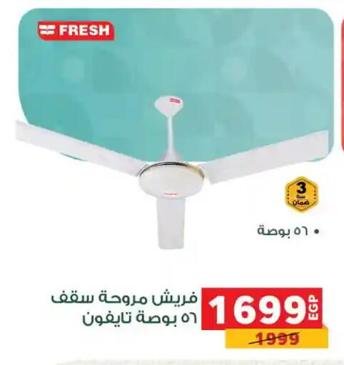 available at Panda  in Egypt - Cairo