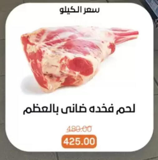 available at Beit El Gomla in Egypt - Cairo