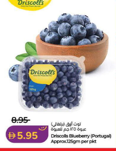 Blueberry BlueBerry from Portugal available at Lulu Hypermarket in UAE - Dubai