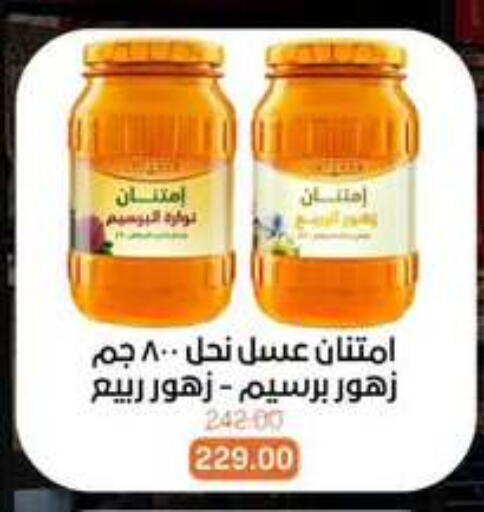 available at Beit El Gomla in Egypt - Cairo