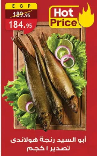 available at Al Rayah Market   in Egypt - Cairo