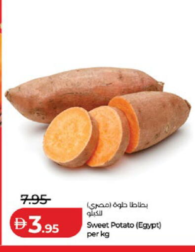 Sweet Potato from Egypt available at لولو هايبرماركت in الإمارات العربية المتحدة , الامارات - أبو ظبي