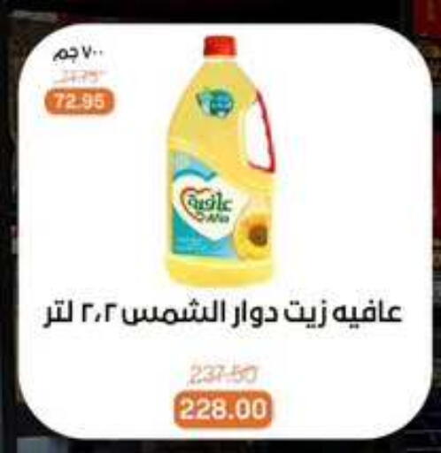 available at Beit El Gomla in Egypt - Cairo