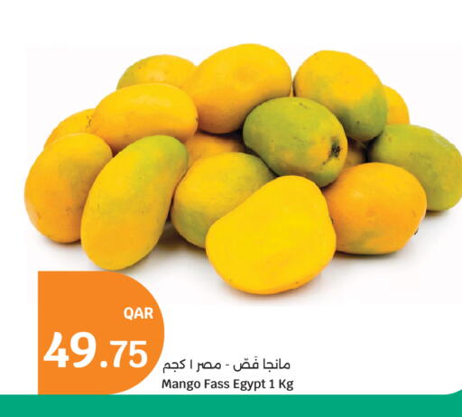 Mango from Egypt available at سيتي هايبرماركت in قطر - الشحانية