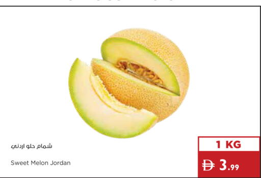 Melon from Jordan available at إسطنبول سوبرماركت in الإمارات العربية المتحدة , الامارات - دبي