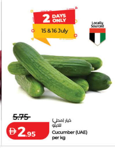 Cucumber available at لولو هايبرماركت in الإمارات العربية المتحدة , الامارات - الشارقة / عجمان