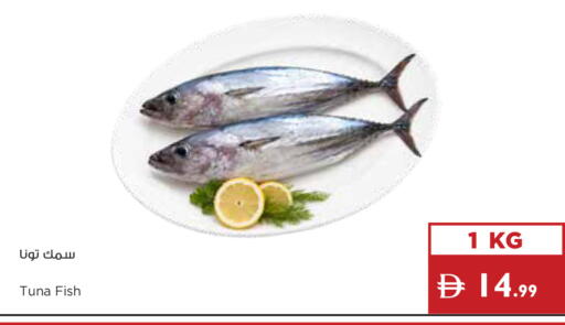 available at إسطنبول سوبرماركت in الإمارات العربية المتحدة , الامارات - دبي
