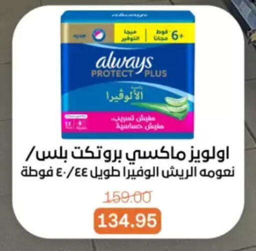 available at Beit El Gomla in Egypt - Cairo