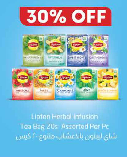 Anise Mint available at Nesto Hypermarket in UAE - Dubai