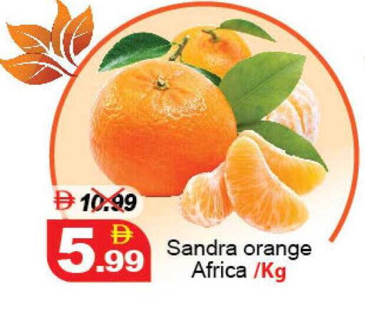 Orange available at ديزرت فريش ماركت in الإمارات العربية المتحدة , الامارات - أبو ظبي