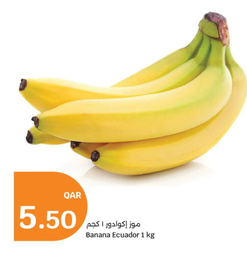 Banana from Ecuador available at سيتي هايبرماركت in قطر - الشحانية