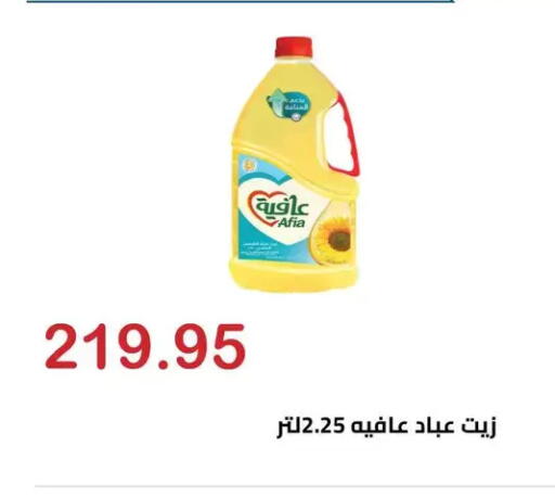 available at الهواري in Egypt - القاهرة