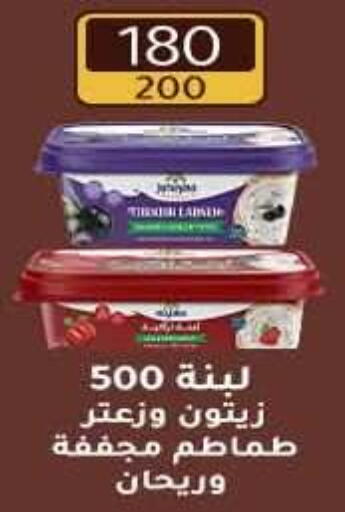 available at وكالة المنصورة - الدقهلية‎ in Egypt - القاهرة