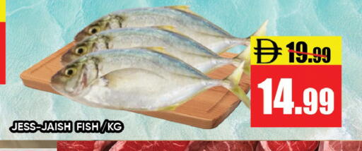 available at ليبتس هايبرماركت in الإمارات العربية المتحدة , الامارات - رَأْس ٱلْخَيْمَة