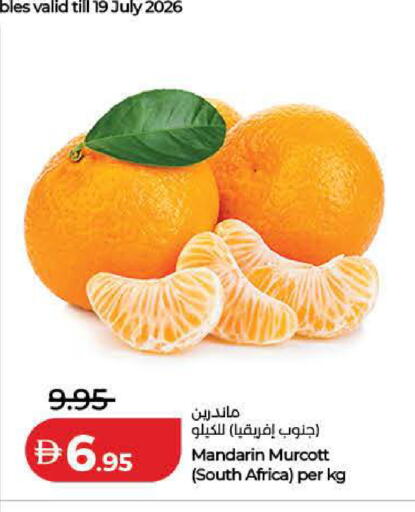 Mandarin from South Africa available at Lulu Hypermarket in UAE - Dubai