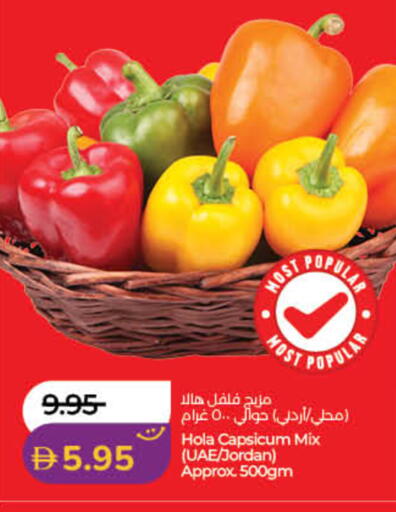 Capsicum from Jordan available at لولو هايبرماركت in الإمارات العربية المتحدة , الامارات - الشارقة / عجمان