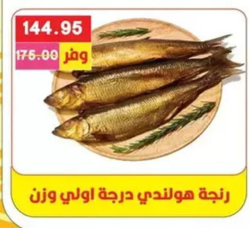 available at بشاير هايبرماركت in Egypt - القاهرة