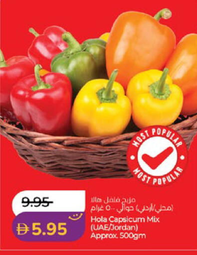 Capsicum from Jordan available at لولو هايبرماركت in الإمارات العربية المتحدة , الامارات - أبو ظبي