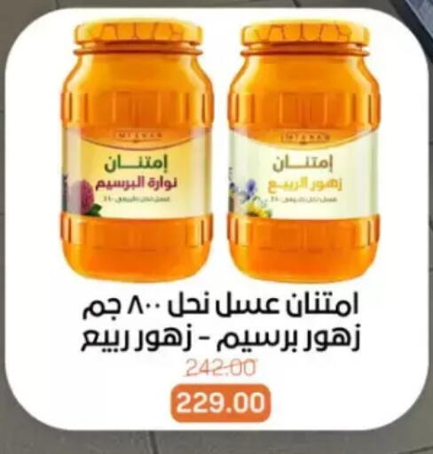 available at Beit El Gomla in Egypt - Cairo