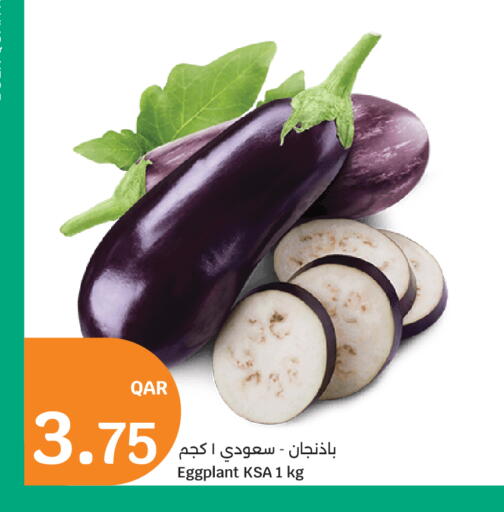 Eggplant available at سيتي هايبرماركت in قطر - الشحانية