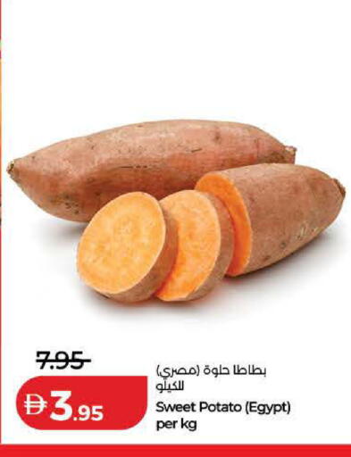 Sweet Potato from Egypt available at لولو هايبرماركت in الإمارات العربية المتحدة , الامارات - الشارقة / عجمان