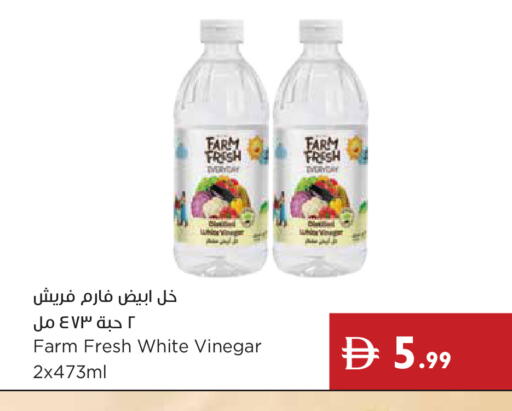 available at إسطنبول سوبرماركت in الإمارات العربية المتحدة , الامارات - دبي
