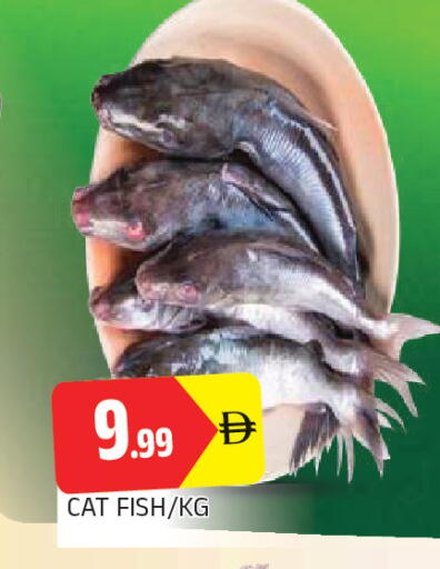 available at AL MADINA in UAE - Sharjah / Ajman
