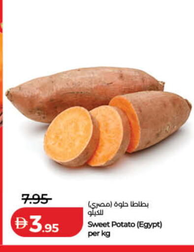 Sweet Potato from Egypt available at لولو هايبرماركت in الإمارات العربية المتحدة , الامارات - الشارقة / عجمان