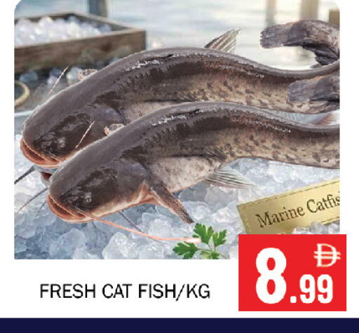 available at Souk Al Mubarak Hypermarket in UAE - Sharjah / Ajman