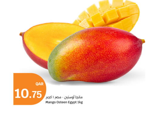 Mango from Egypt available at سيتي هايبرماركت in قطر - الشحانية