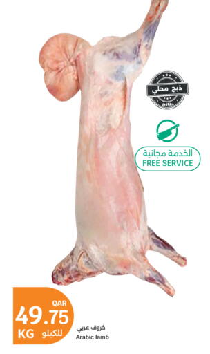 available at سيتي هايبرماركت in قطر - الشحانية