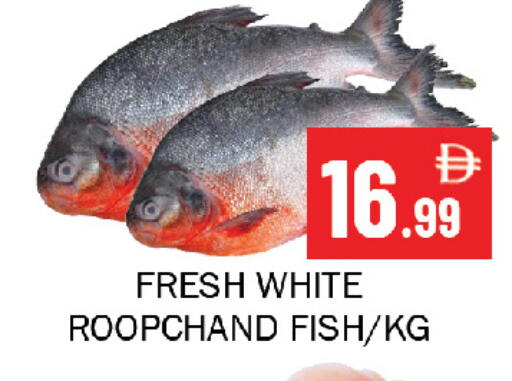available at Souk Al Mubarak Hypermarket in UAE - Sharjah / Ajman