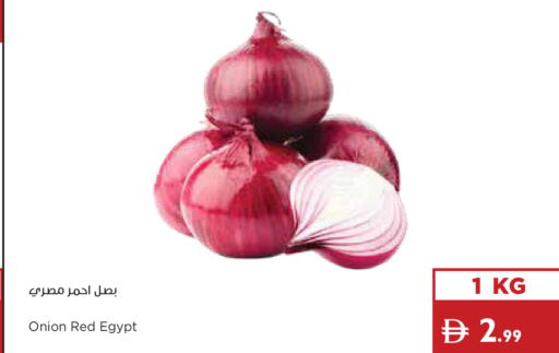 Onion from Egypt available at إسطنبول سوبرماركت in الإمارات العربية المتحدة , الامارات - دبي