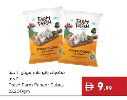 available at إسطنبول سوبرماركت in الإمارات العربية المتحدة , الامارات - دبي