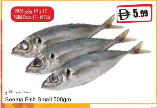 available at المايا سوبرماركت in الإمارات العربية المتحدة , الامارات - رَأْس ٱلْخَيْمَة