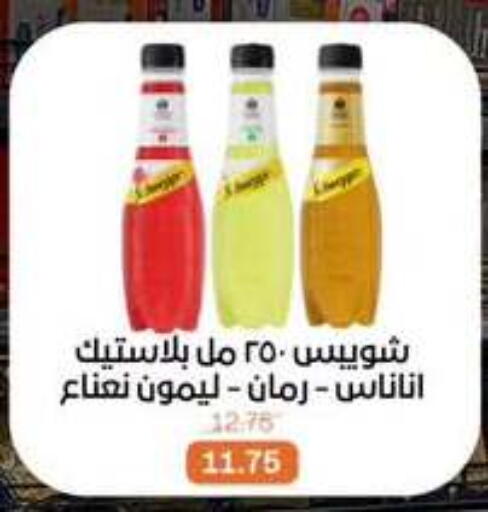 available at Beit El Gomla in Egypt - Cairo