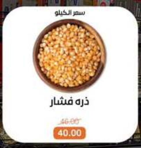 available at Beit El Gomla in Egypt - Cairo