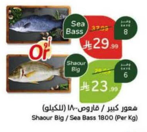 available at هايبر بنده in مملكة العربية السعودية, السعودية, سعودية - تبوك