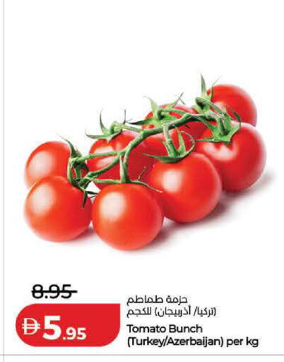 Tomato from Turkey Azerbaijan available at لولو هايبرماركت in الإمارات العربية المتحدة , الامارات - الشارقة / عجمان