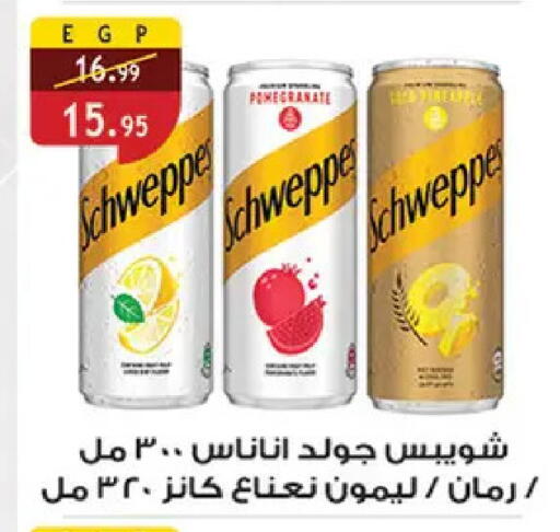 available at Al Rayah Market   in Egypt - Cairo